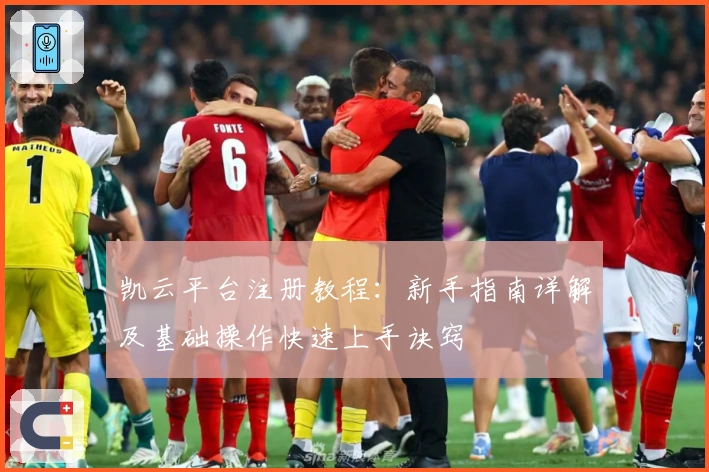 凯云平台注册教程：新手指南详解及基础操作快速上手诀窍